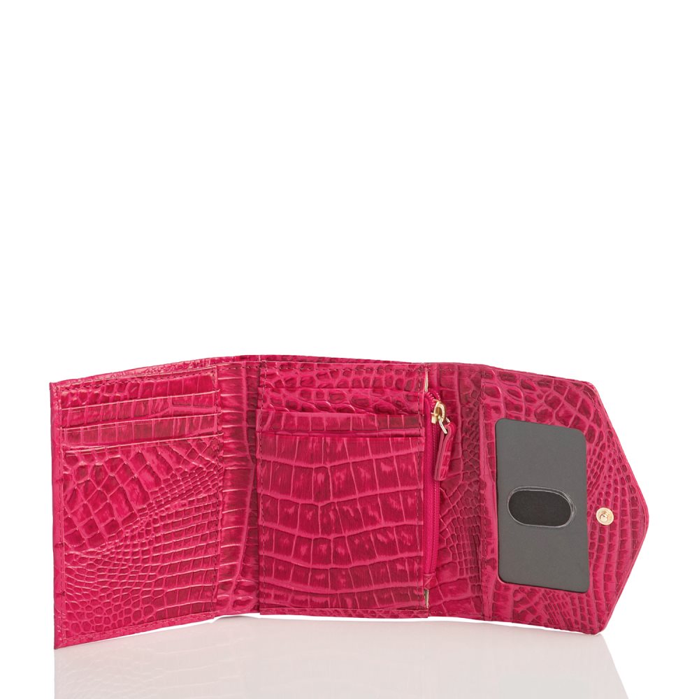 Brahmin Small Veronica Sweetheart Ombre Melbourne ID:Brahmin-203809