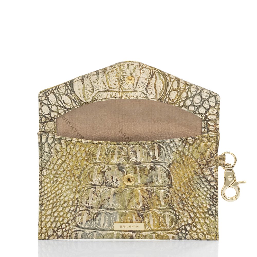 Brahmin Mini Envelope Case Symphony Melbourne ID:Brahmin-202709