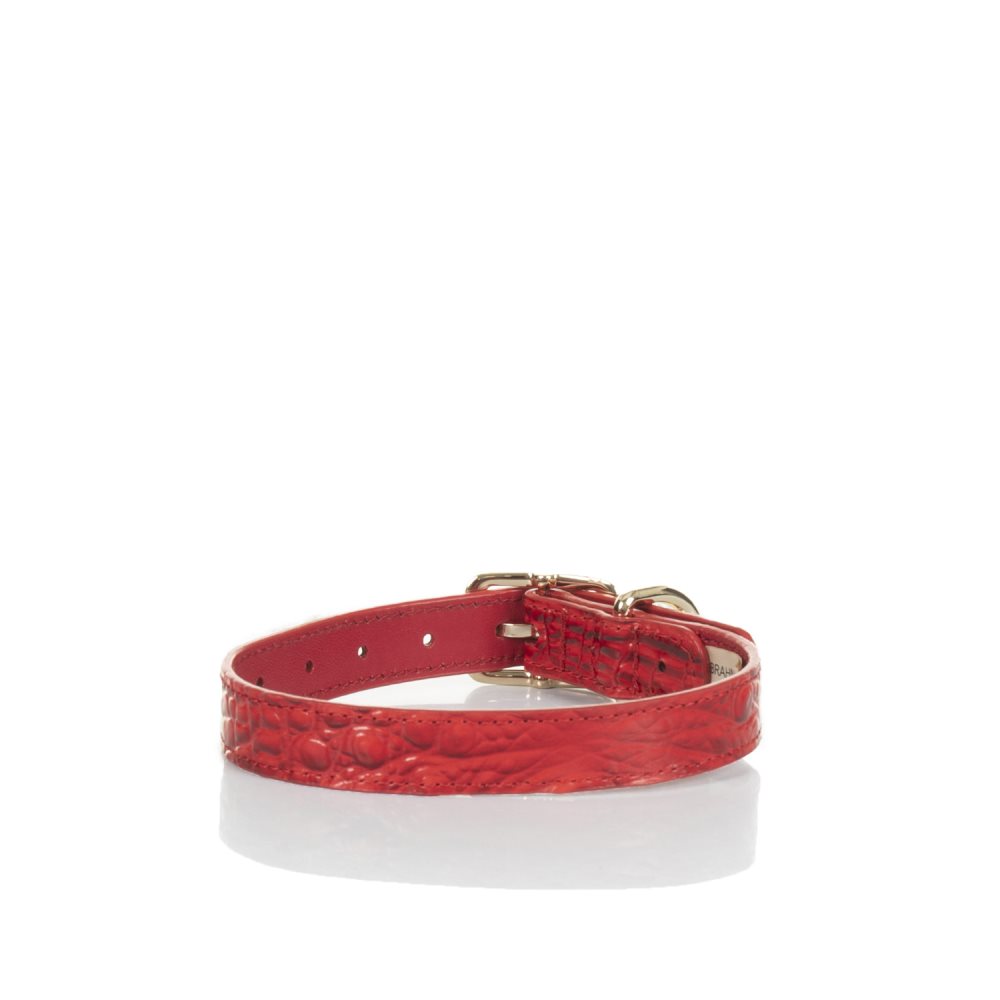 Brahmin Medium Pet Collar Carnation Melbourne ID:Brahmin-203587