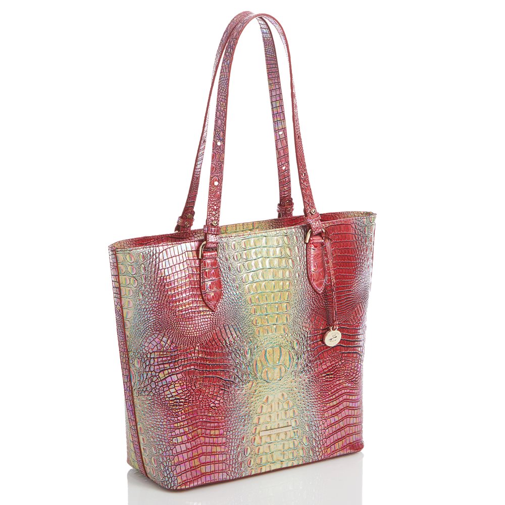 Brahmin Ellen Dragonfruit Ombre Mini Melbourne ID:Brahmin-202851
