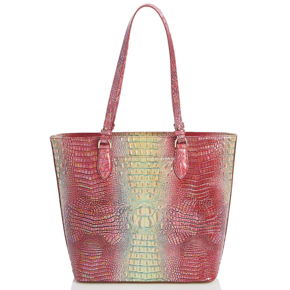 Brahmin Ellen Dragonfruit Ombre Mini Melbourne ID:Brahmin-202851