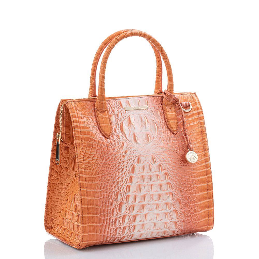 Brahmin Caroline Sherbert Ombre Melbourne ID:Brahmin-203017