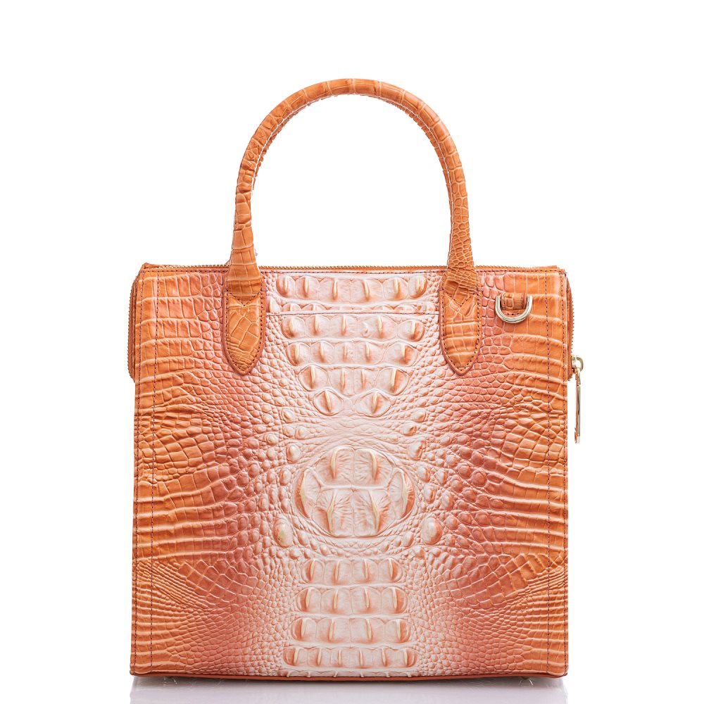 Brahmin Caroline Sherbert Ombre Melbourne ID:Brahmin-203017
