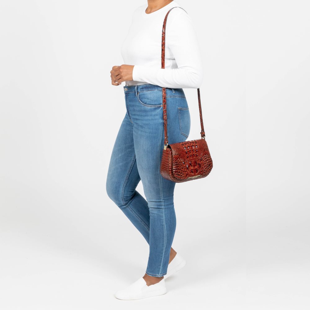Brahmin Small Nadine Pink Feline Ombre Melbourne ID:Brahmin-203355