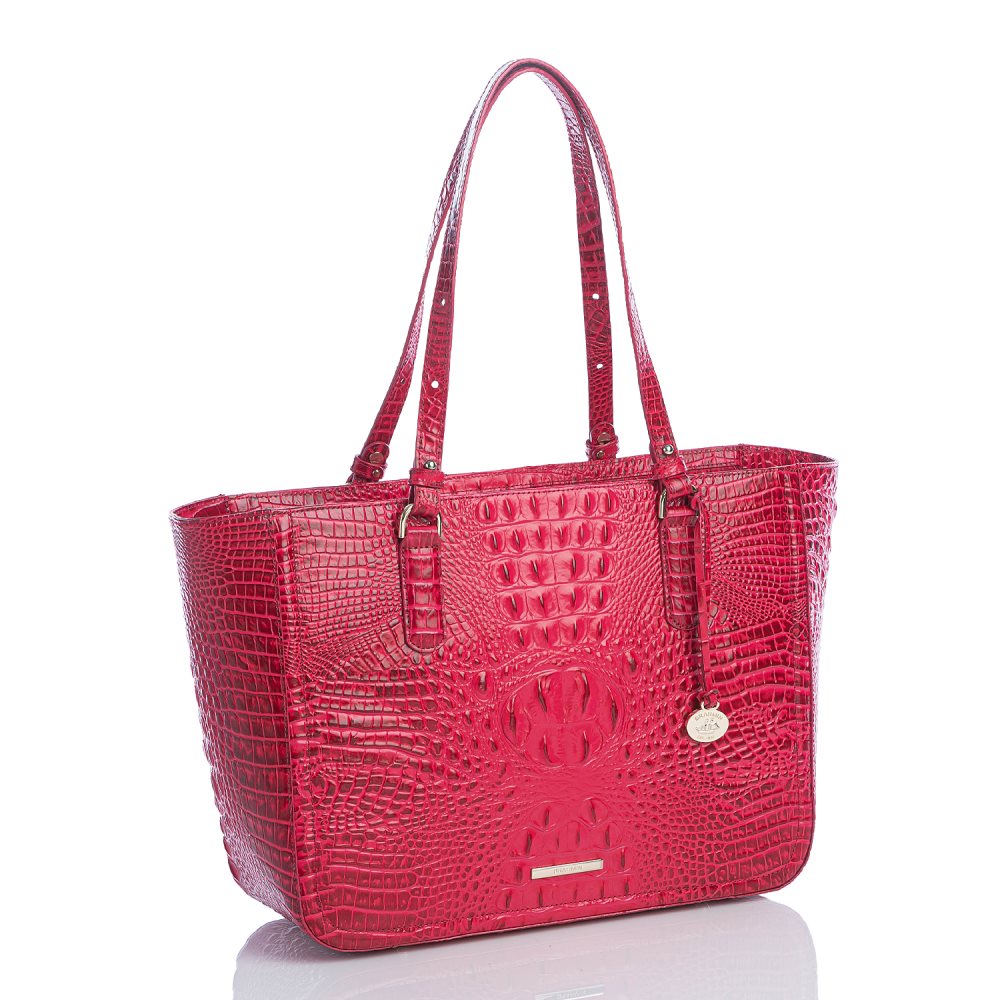 Brahmin Ashlee Sweetheart Ombre Melbourne ID:Brahmin-202834